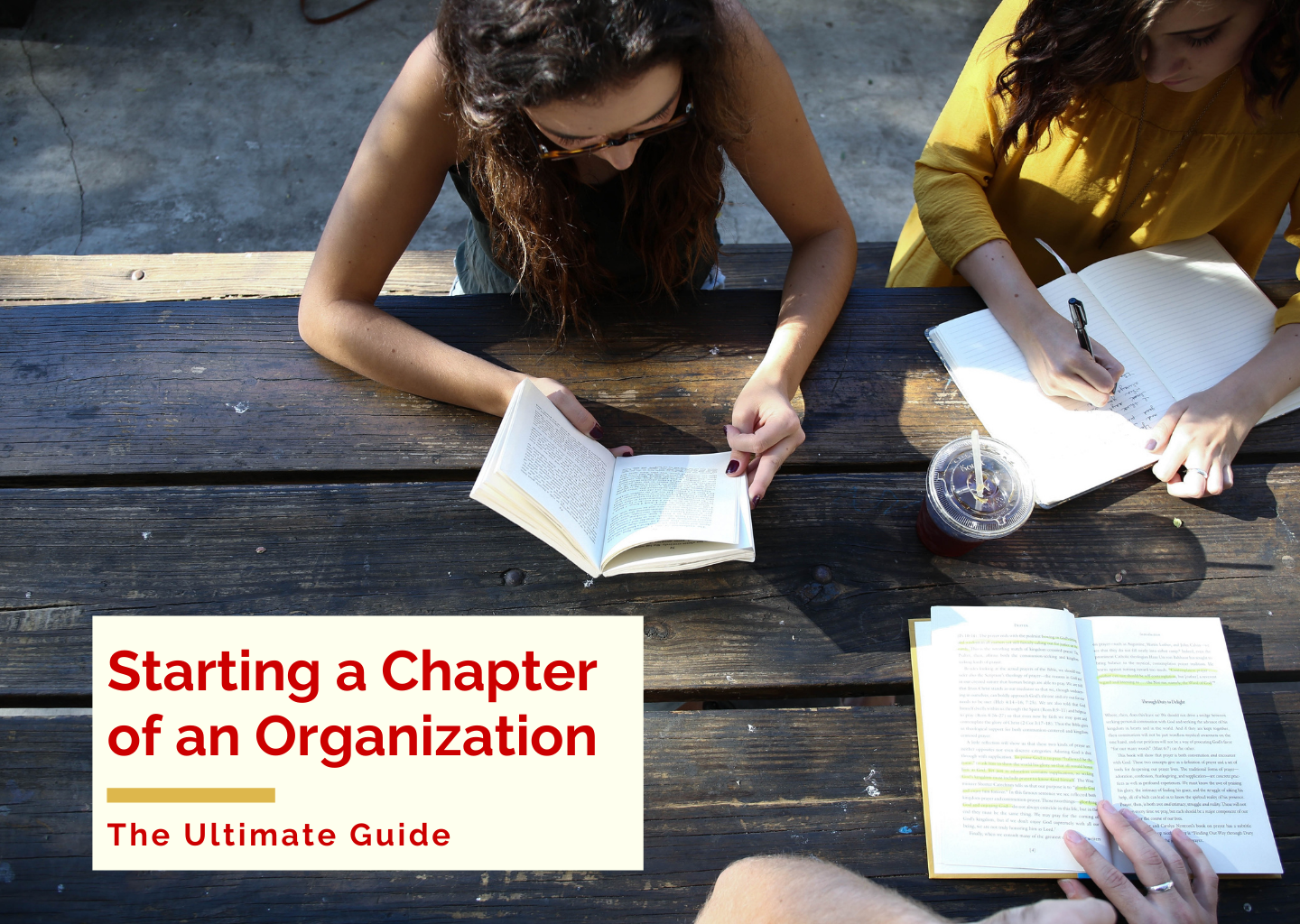 Starting a Chapter of an Organization: The Ultimate Guide