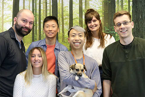 WildApricot Team