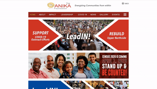 The Anika Foundation