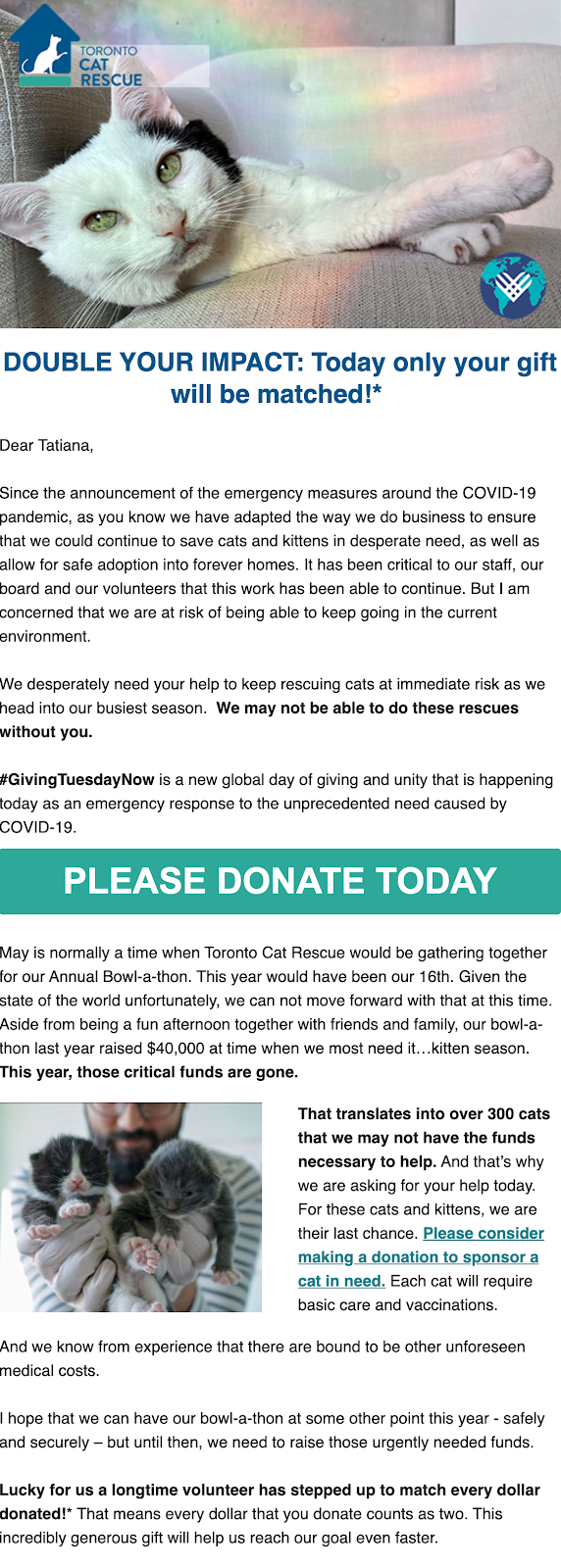 Toronto Cat Rescue Toronto Cat Rescue