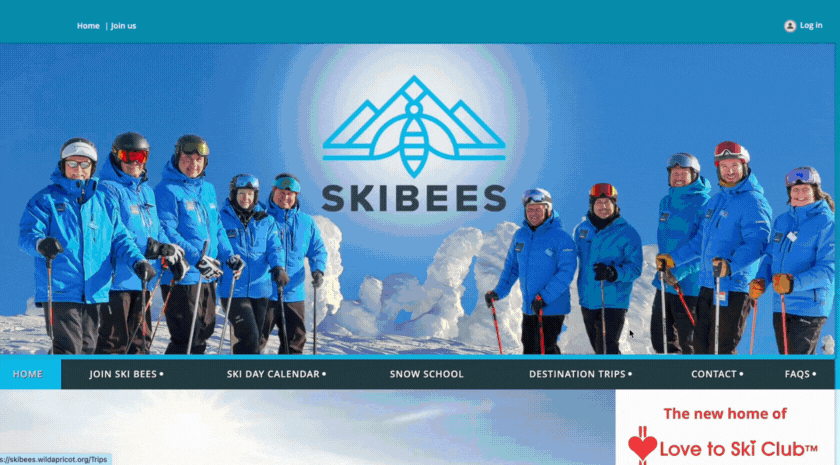 Ski Bees Website 